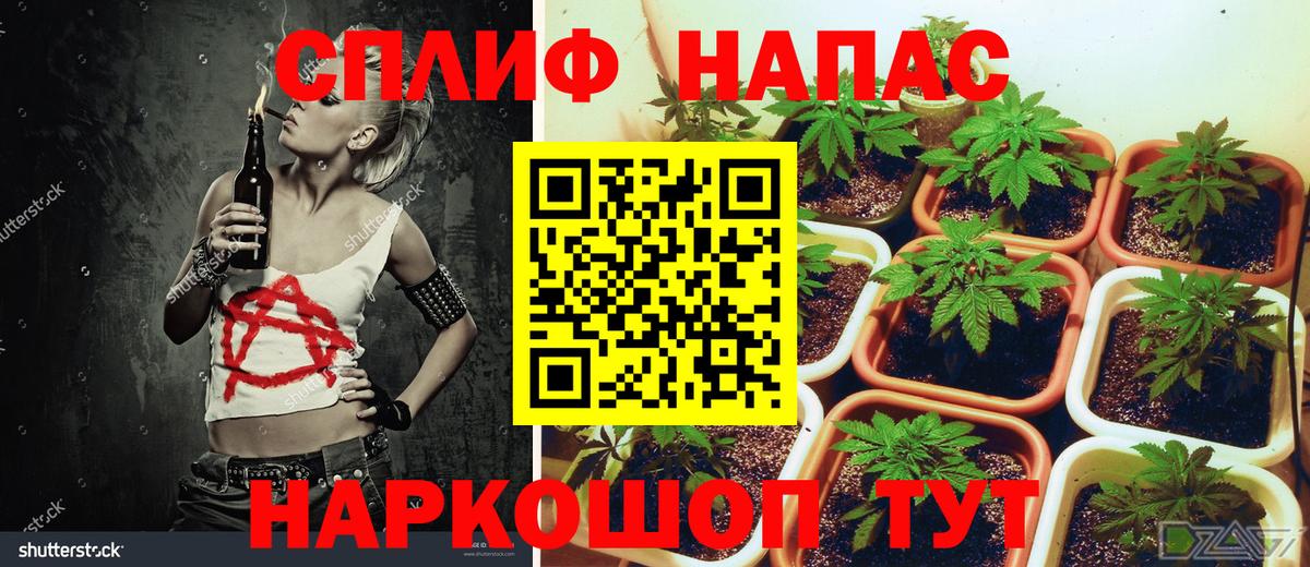 Конопля семена Улан-Удэ
